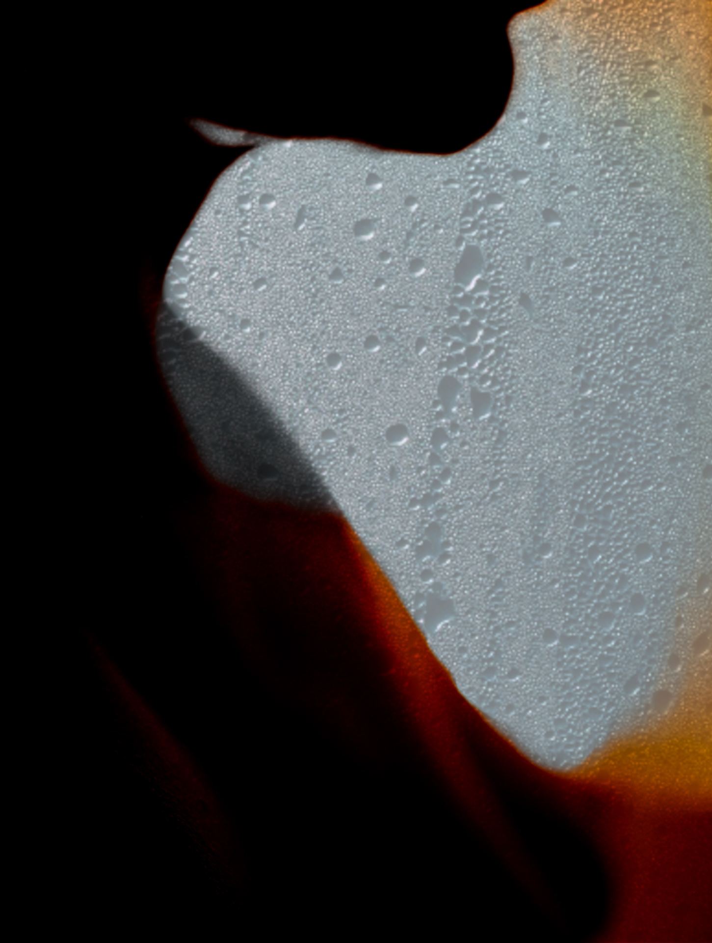 Ignis, No. 07 — Combustion, archival pigment print by Fegg Mou