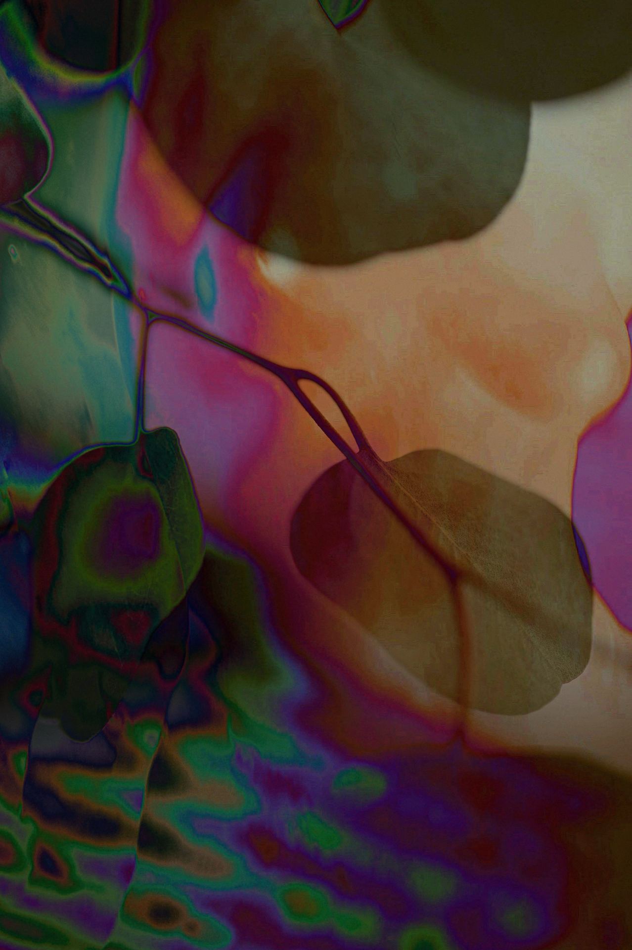 Aer, No. 02 — Trace Portrait, archival pigment print by Fegg Mou