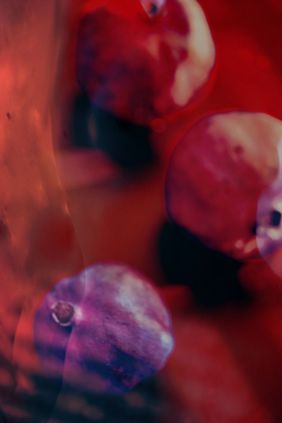 Ignis, No. 01 — Calcination Study, archival pigment print by Fegg Mou
