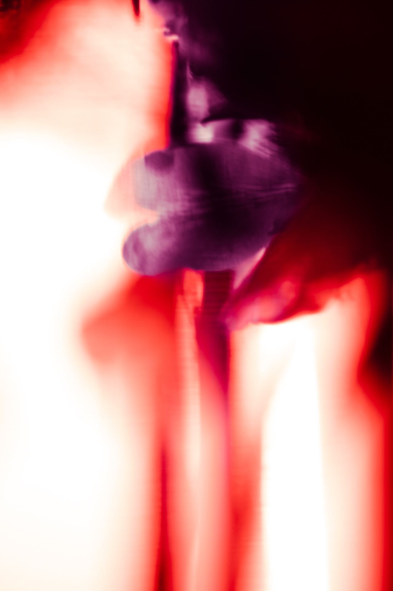 Ignis, No. 10 — Last Ember, archival pigment print by Fegg Mou