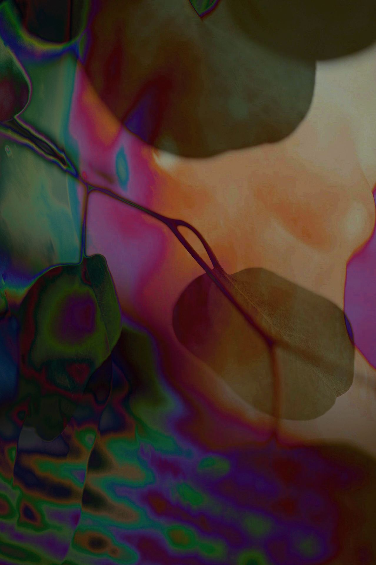 Aqua, No. 02 — Threshold, archival pigment print by Fegg Mou