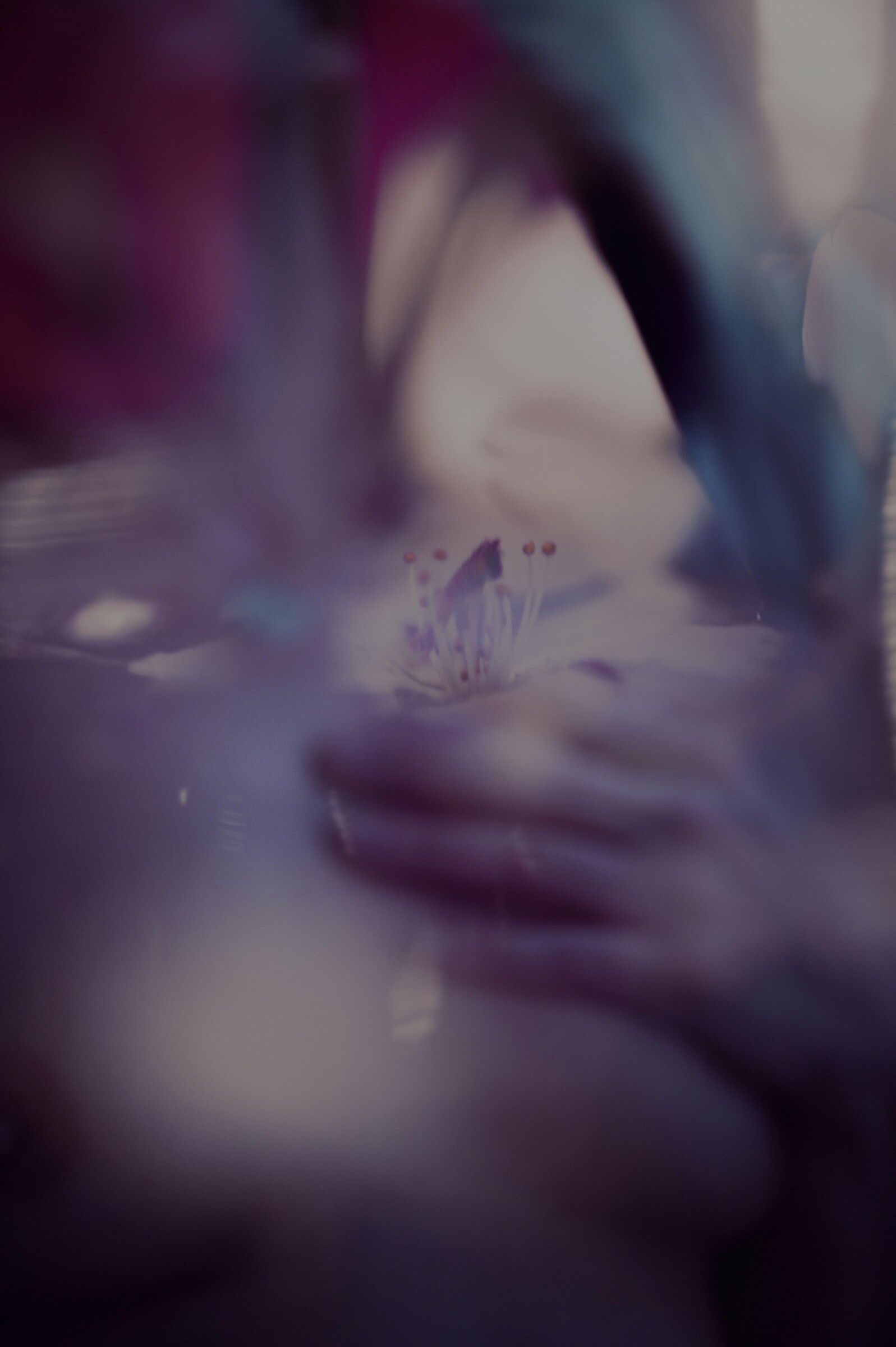 Aer, No. 08 — Suspended, archival pigment print by Fegg Mou