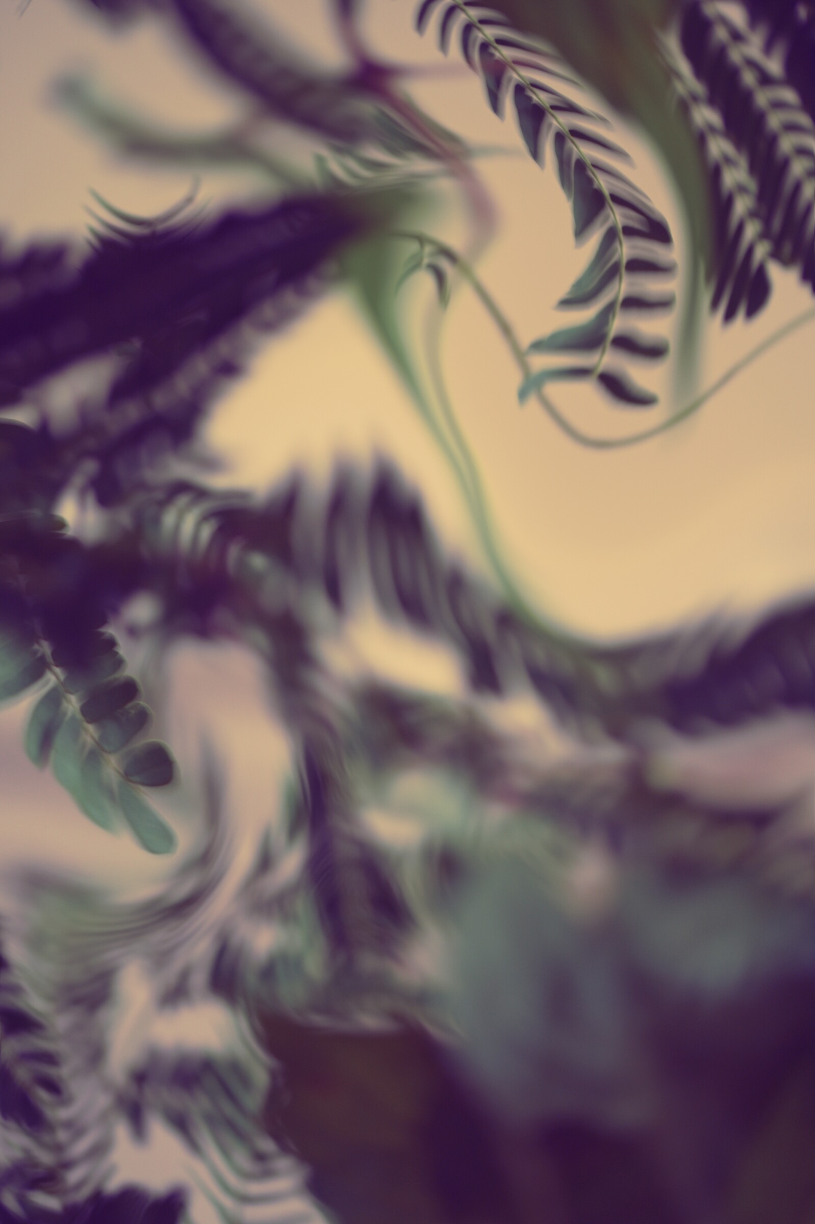 Aer, No. 10 — Departure, archival pigment print by Fegg Mou